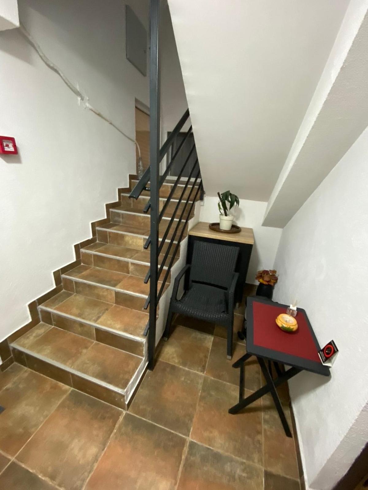 נובי סאד N6 Apartment מראה חיצוני תמונה